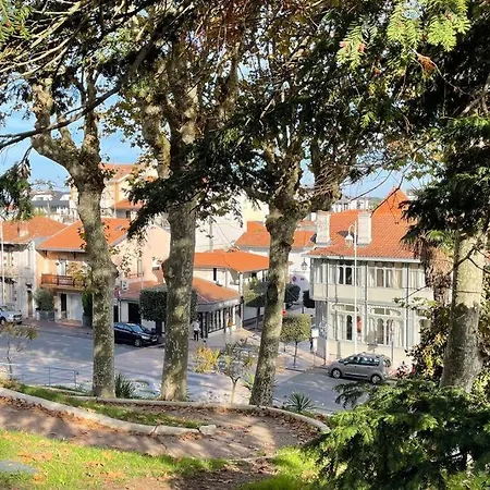 Apartment T2 Vue Mer-hypercentre-plage-parc Mauresque-tout A Pied-calme